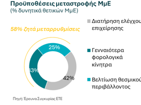 Στιγμιότυπο_οθόνης_2024-09-10_131853.png